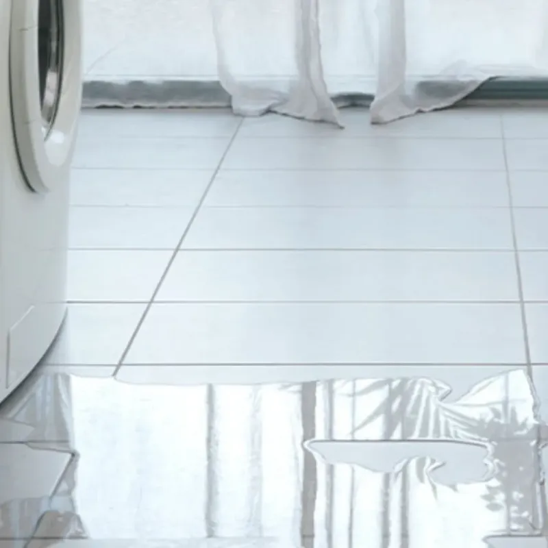 Appliance Leak Cleanup in Algonquin, MD