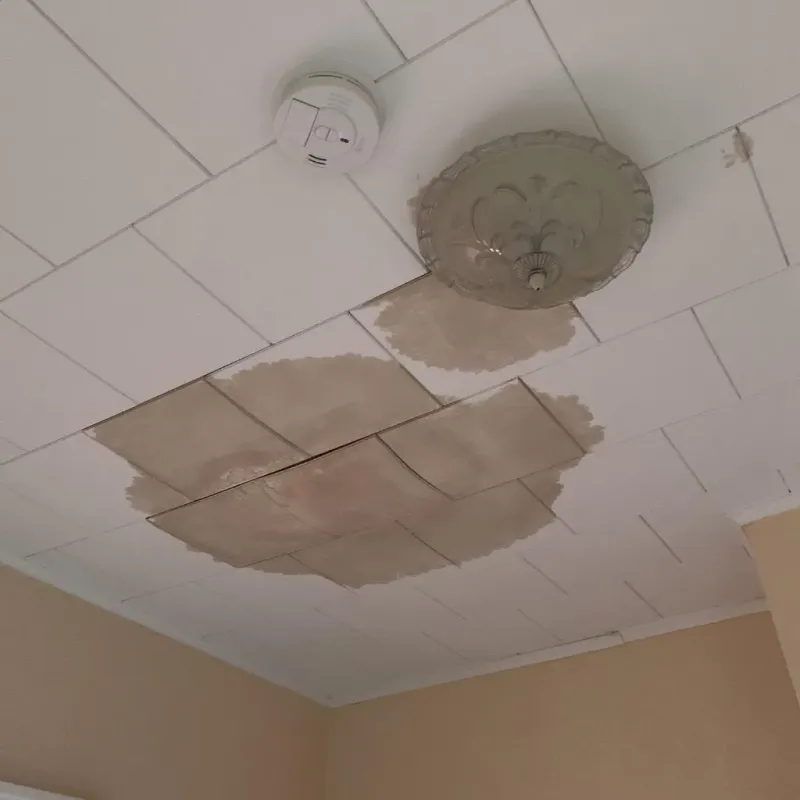 Ceiling Water Damage Repair in Algonquin, MD