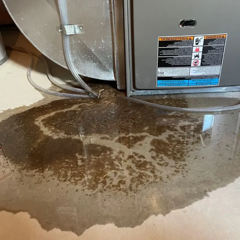 Pipe Burst and Leak Restoration in Algonquin, MD